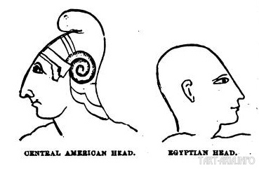 Иллюстрация голов